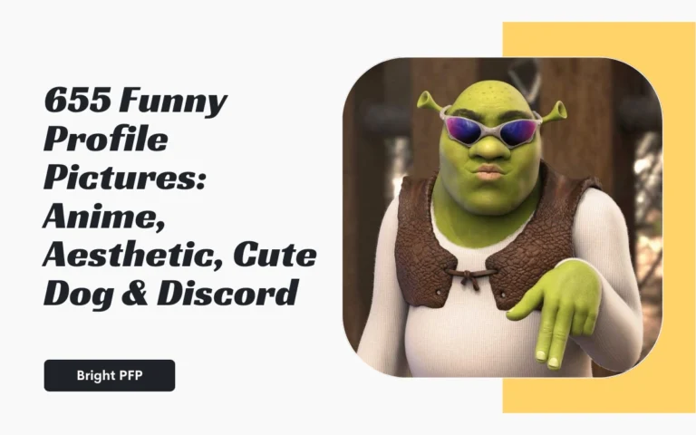 Funny Profile Pictures