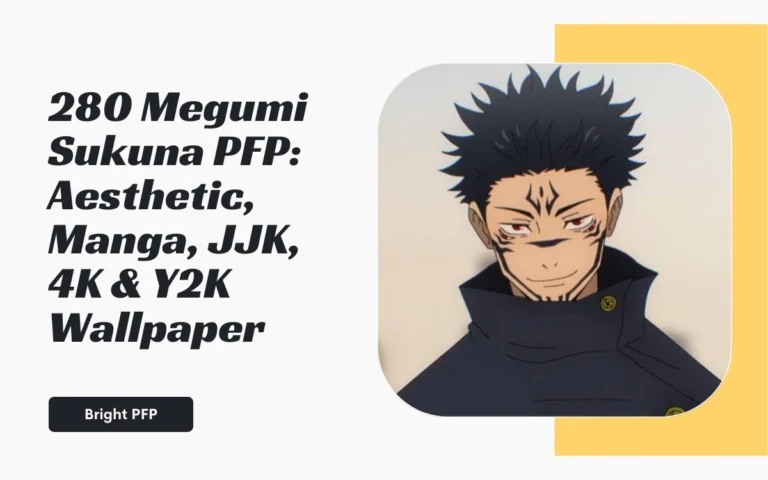 Megumi-Sukuna-PFP