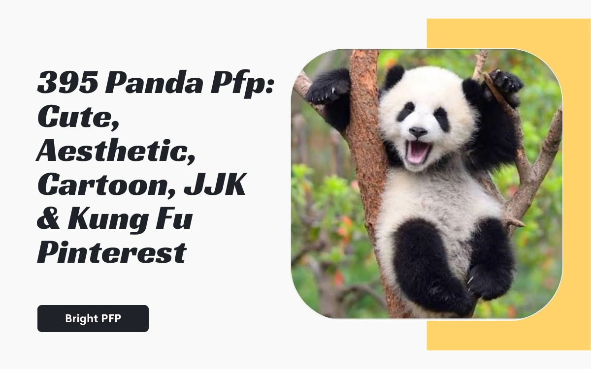 panda-pfp