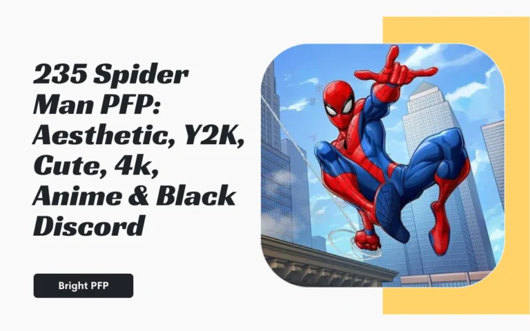 Spider Man PFP