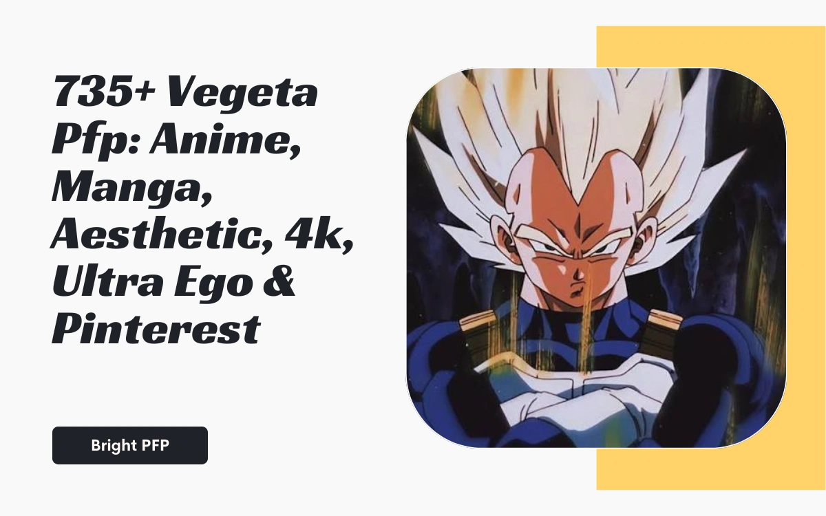 vegeta-pfp