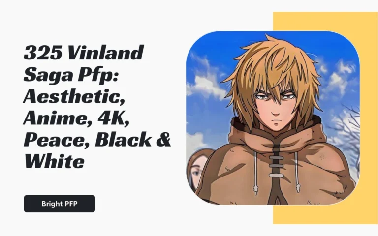 vinland-saga-pfp