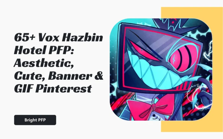 Vox-Hazbin-Hotel-PFP