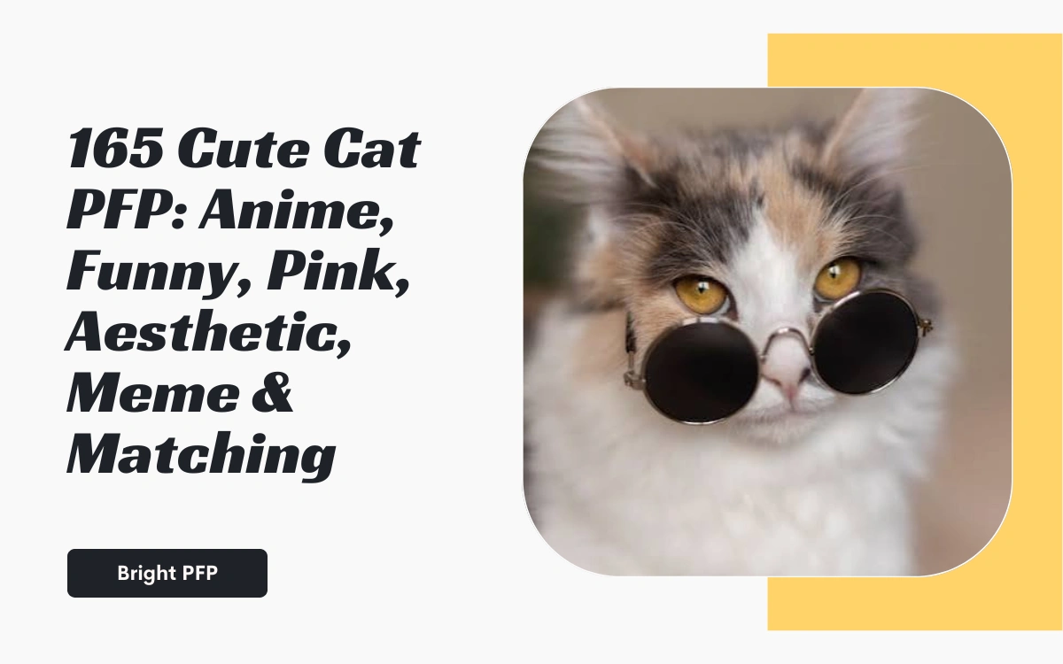 cute-cat-pfp