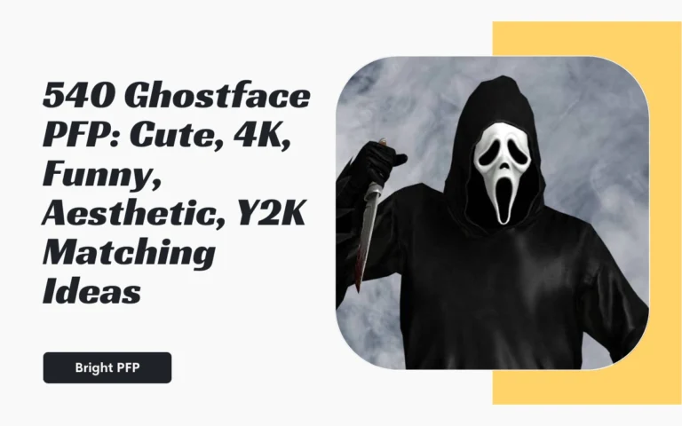 Ghostface-pfp