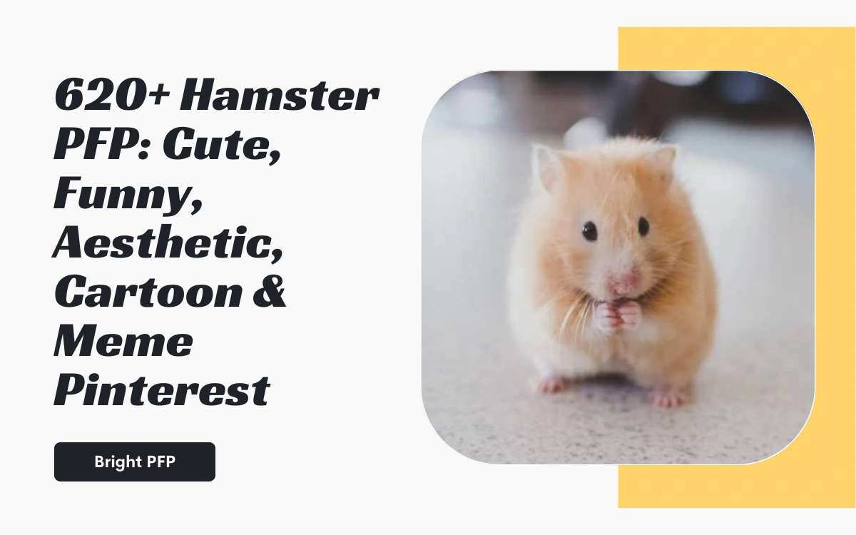 hamster-pfp