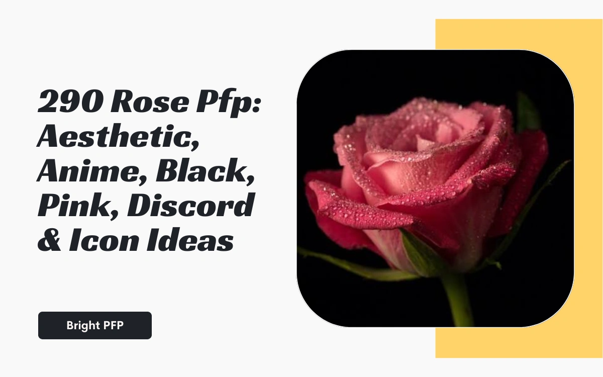 rose-pfp