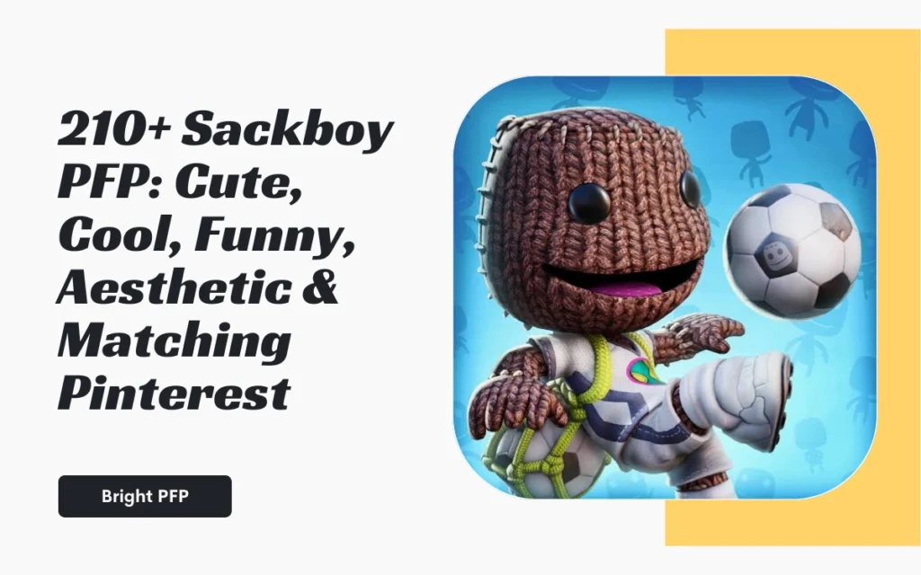 sackboy-pfp