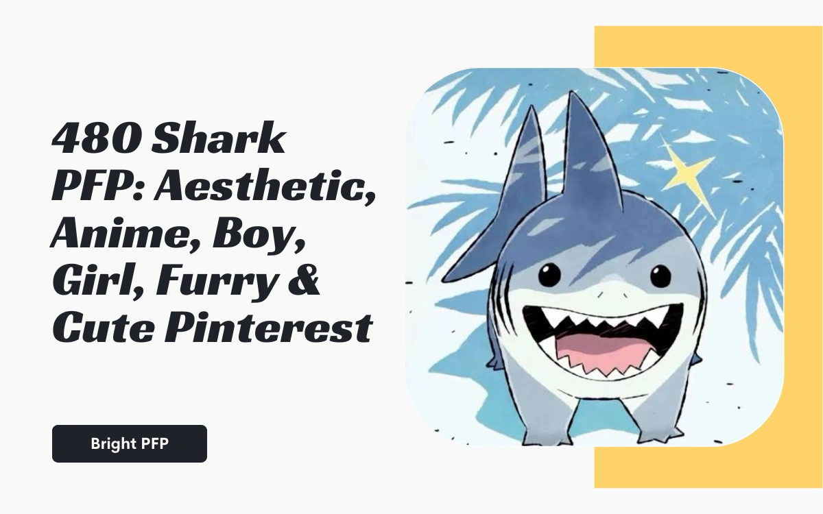 shark-pfp