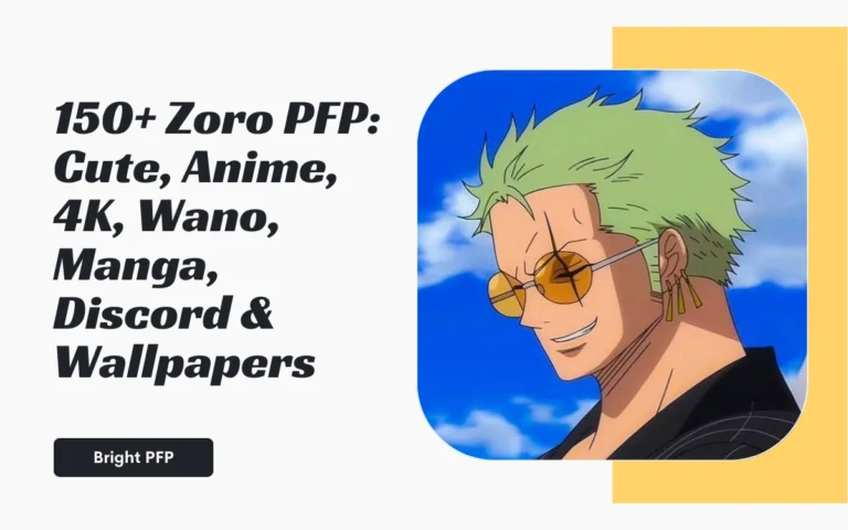 Zoro-pfp
