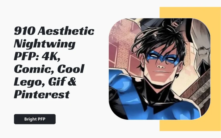 Aesthetic Nightwing PFP