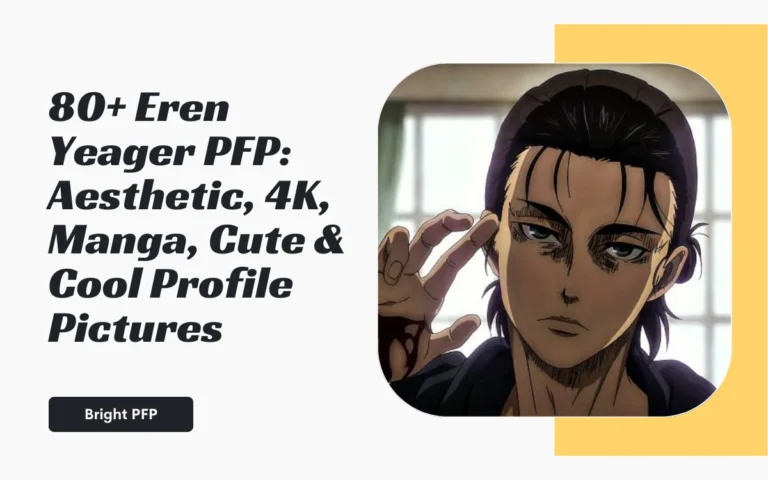 Eren Yeager PFP