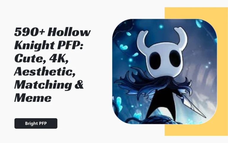 Hollow Knight PFP
