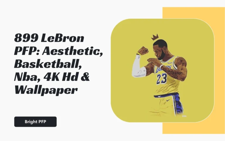 LeBron PFP