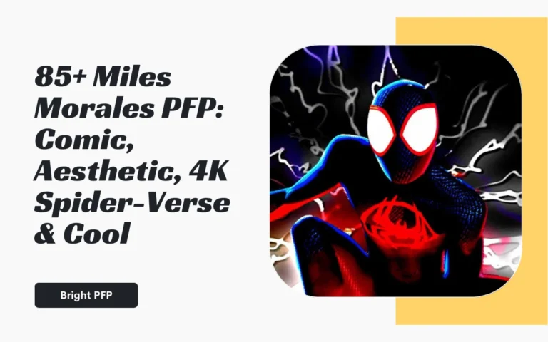 Miles Morales PFP