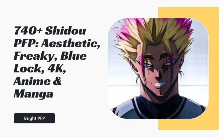Shidou PFP