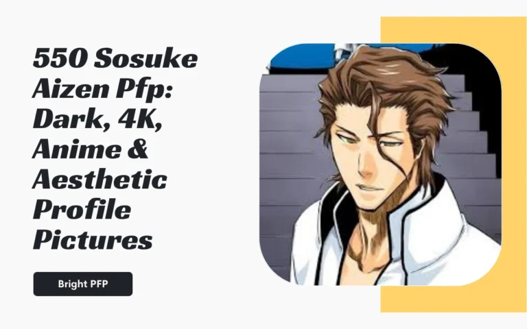 Sosuke Aizen Pfp